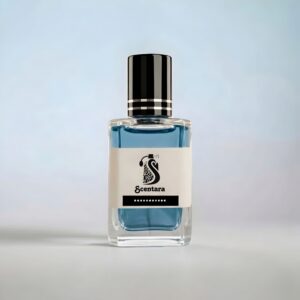 Ocean Aroma